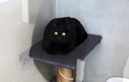 ZAVETIŠČE GMAJNICE PODPIS KONCESIJSKE POGODBE 41 FOTO LJUBO VUKELIČ